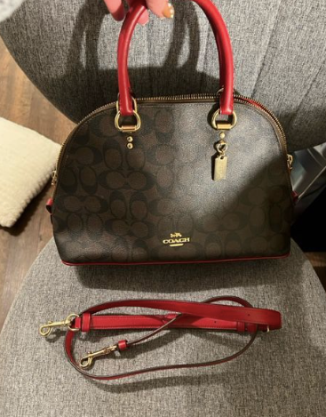 Brand New Condition Authentic Coach Dome Handbag/purse $175